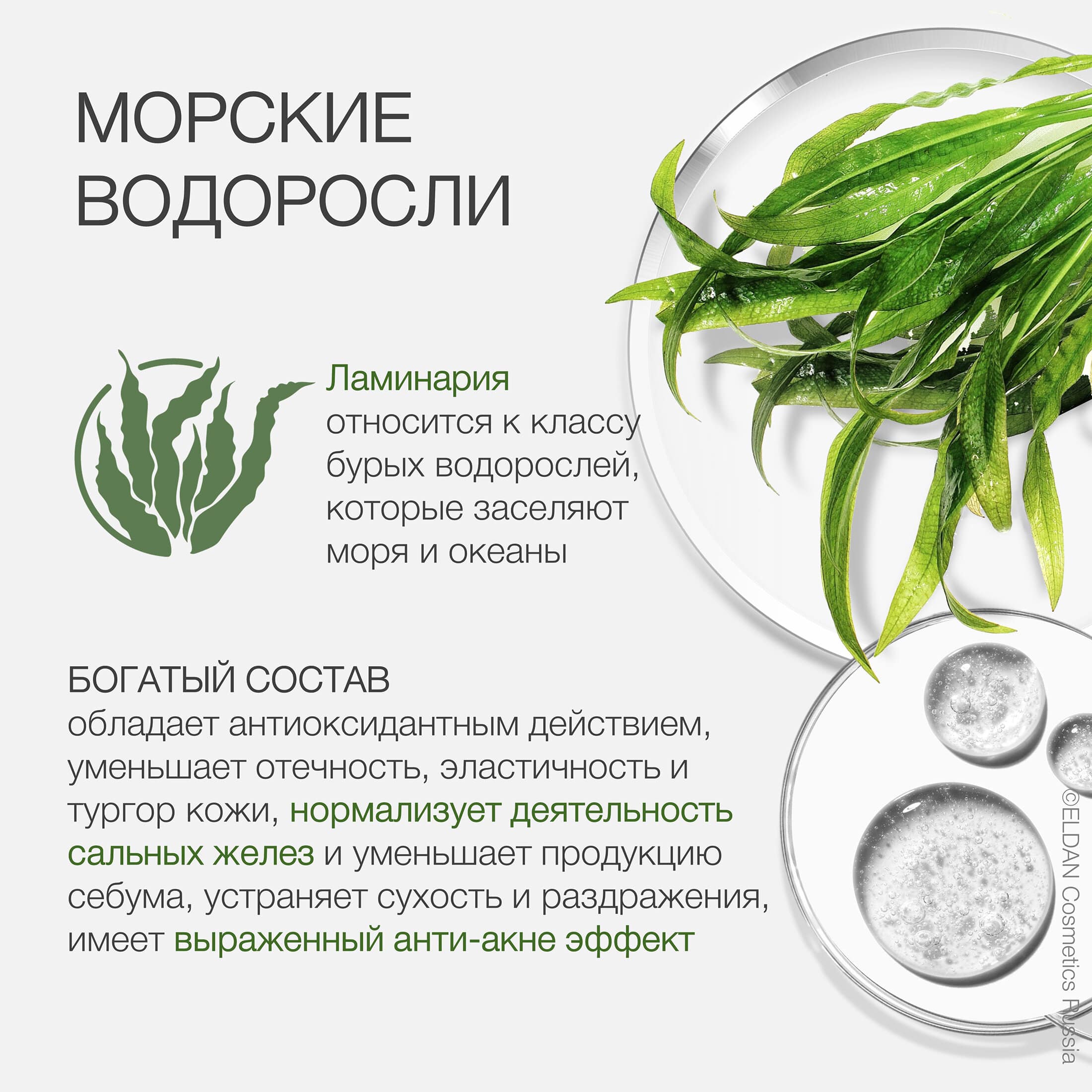 Пост ламинария 2.jpg Пост ламинария 2.jpg